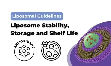 How Liposomal Resveratrol Supports Cellular and Antioxidant Health?